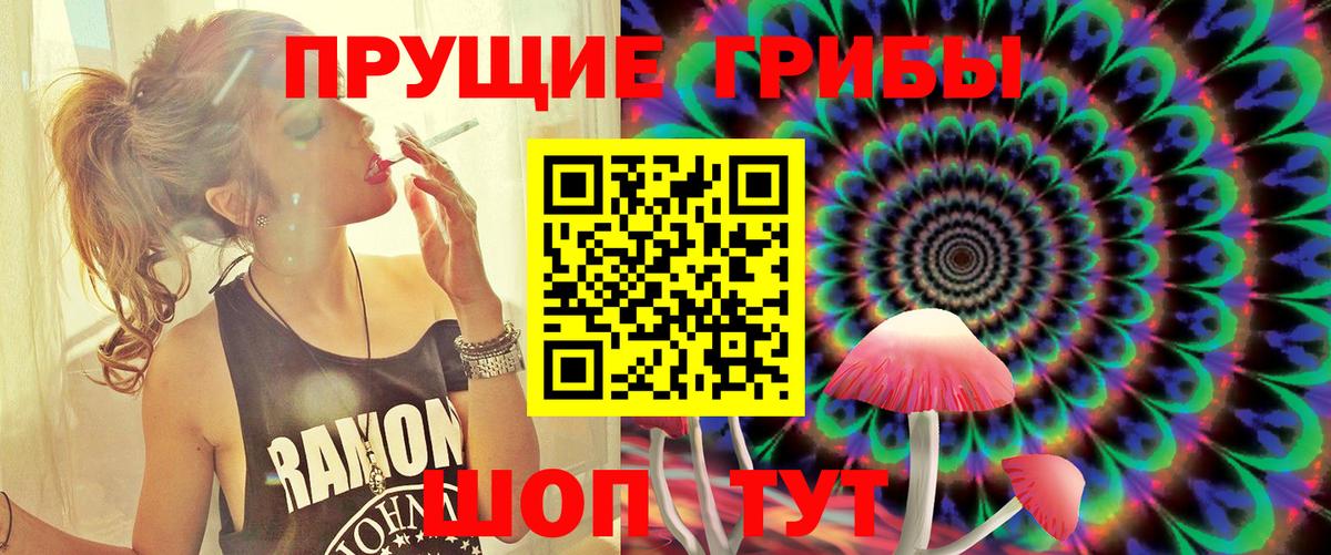 Лысьва  Псилоцибиновые грибы MAGIC MUSHROOMS  Вход с VPN 